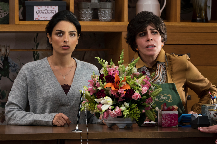 Dom Kwiatów (10.08)